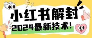 2024最新小红书账号封禁解封方法,无限释放手机号【揭秘】-瀚海资源库