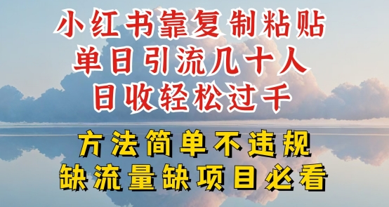 小红书靠复制粘贴单日引流几十人目收轻松过千，方法简单不违规【揭秘】-瀚海资源库