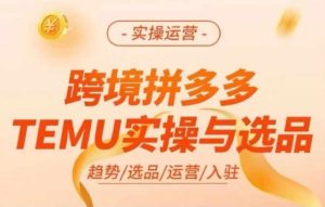 跨境拼多多TEMU实操与选品，多多temu跨境选品运营实操-瀚海资源库