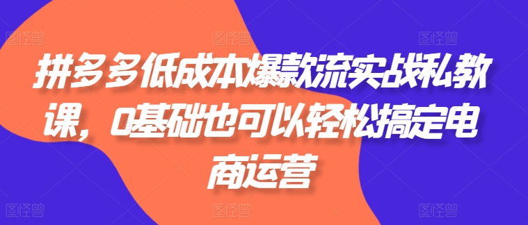 拼多多低成本爆款流实战私教课，0基础也可以轻松搞定电商运营-瀚海资源库