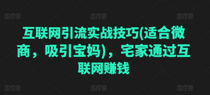 互联网引流实战技巧(适合微商，吸引宝妈)，宅家通过互联网赚钱-瀚海资源库