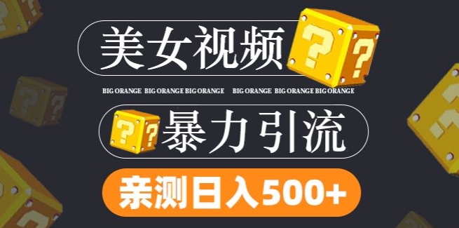 搬运tk美女视频全网分发，日引s粉300+，轻松变现，不限流量不封号【揭秘】-瀚海资源库