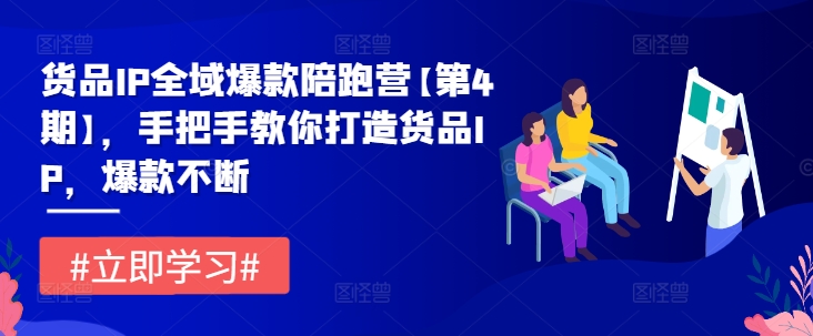 货品IP全域爆款陪跑营【第4期】，手把手教你打造货品IP，爆款不断-瀚海资源库