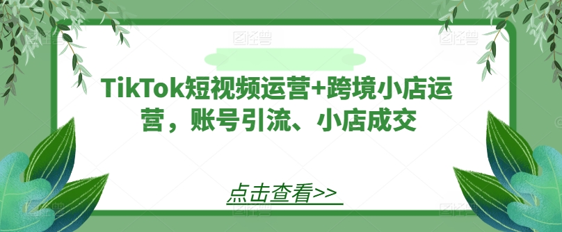 TikTok短视频运营+跨境小店运营，账号引流、小店成交-瀚海资源库
