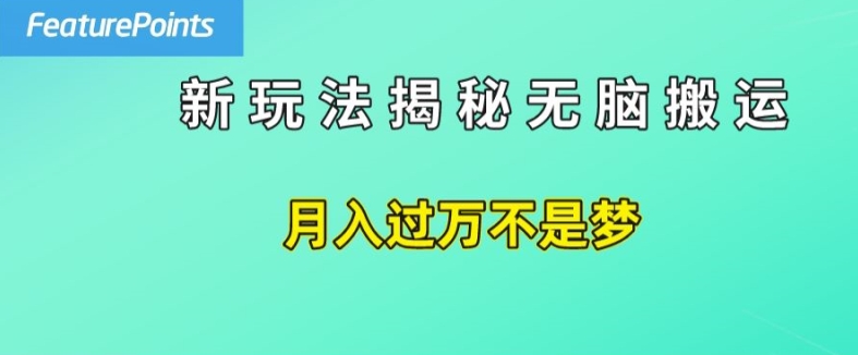 简单操作，每天50美元收入，搬运就是赚钱的秘诀【揭秘】-瀚海资源库