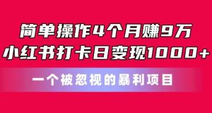 简单操作4个月赚9w，小红书打卡日变现1k，一个被忽视的暴力项目【揭秘】-瀚海资源库