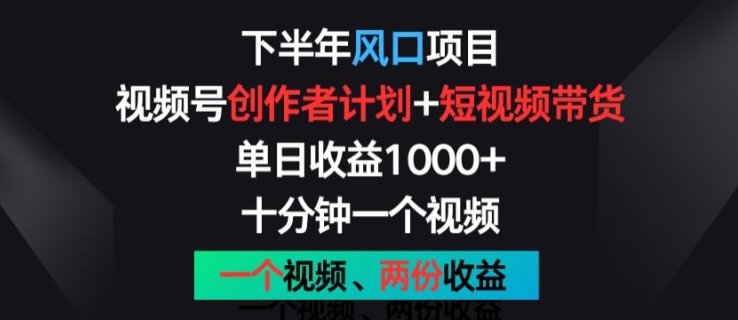 下半年风口项目，视频号创作者计划+视频带货，一个视频两份收益，十分钟一个视频【揭秘】-瀚海资源库