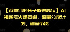 【恭喜你的孩子取得高位】AI视频号火爆赛道，流量分成计划，橱窗带货【揭秘】-瀚海资源库