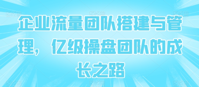 企业流量团队搭建与管理，亿级操盘团队的成长之路-瀚海资源库