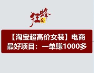 淘宝超高价女装项目，电商最好赛道，一单赚1000多-瀚海资源库