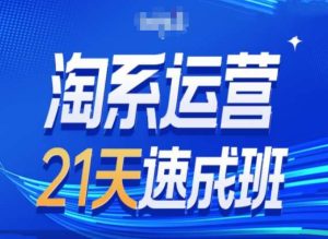 淘系运营24天速成班第28期最新万相台无界带免费流量-瀚海资源库