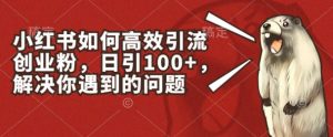 小红书如何高效引流创业粉，日引100+，解决你遇到的问题【揭秘】-瀚海资源库