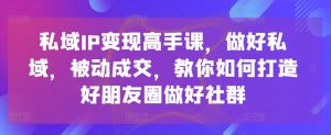 私域IP变现高手课,做好私域,被动成交,教你如何打造好朋友圈做好社群-瀚海资源库