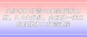 小红书IP打造60天实战营11期,5.0大升级,全网独一无二的自媒体IP打造课程-瀚海资源库