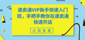 速卖通VIP新手快速入门班,手把手教你在速卖通快速开店-瀚海资源库