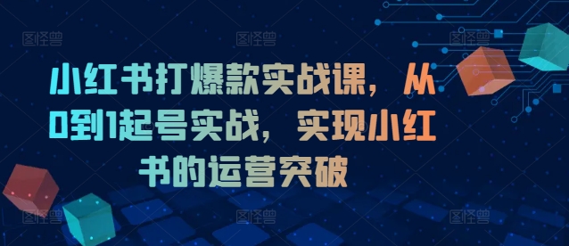 小红书打爆款实战课，从0到1起号实战，实现小红书的运营突破-瀚海资源库