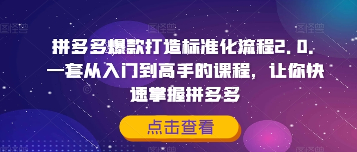 拼多多爆款打造标准化流程2.0，一套从入门到高手的课程，让你快速掌握拼多多-瀚海资源库