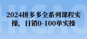 2024拼多多全系列课程实操，日销0-100单实操【必看】-瀚海资源库