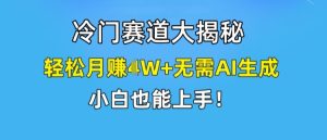 冷门赛道大揭秘,轻松月赚1W+无需AI生成,小白也能上手【揭秘】-瀚海资源库