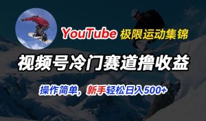 视频号冷门赛道撸收益，YouTube搬运极限运动集锦，暴力起号，操作简单流量高，轻松日入5张【揭秘】-瀚海资源库