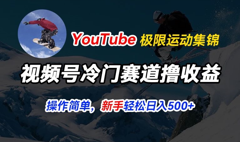 视频号冷门赛道撸收益，YouTube搬运极限运动集锦，暴力起号，操作简单流量高，轻松日入5张【揭秘】-瀚海资源库