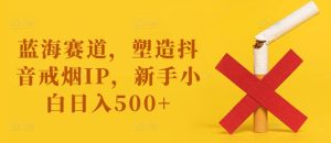 蓝海赛道，塑造抖音戒烟IP，新手小白日入500+【揭秘】-瀚海资源库