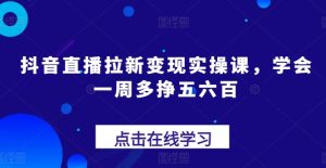 抖音直播拉新变现实操课,学会一周多挣五六百-瀚海资源库