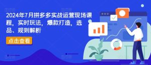 2024年7月拼多多实战运营现场课程，实时玩法，爆款打造，选品、规则解析-瀚海资源库