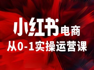 小红书电商从0-1实操运营课，让你从小白到精英-瀚海资源库