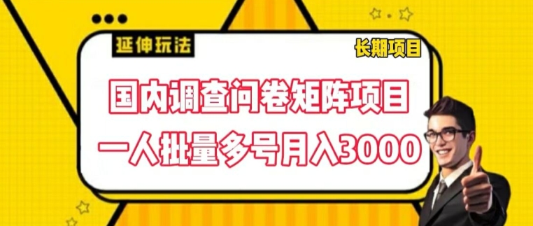 国内调查问卷矩阵项目，一人批量多号月入3000【揭秘】-瀚海资源库