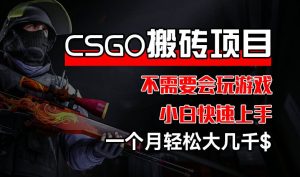 CSGO 装备搬砖项目,操作简单,不需要会玩游戏,小白也能快速上手,一个月轻松大几千【揭秘】-瀚海资源库