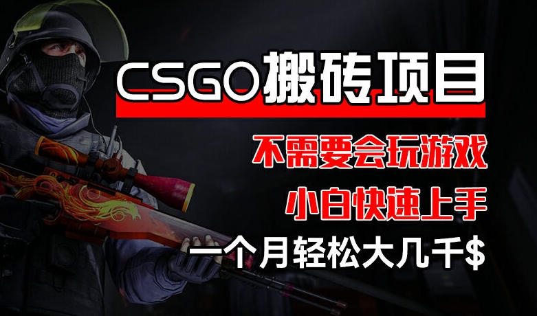 CSGO 装备搬砖项目，操作简单，不需要会玩游戏，小白也能快速上手，一个月轻松大几千【揭秘】-瀚海资源库