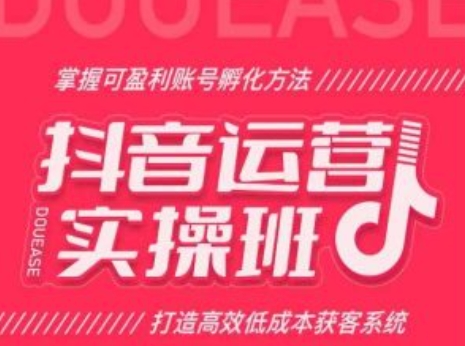 抖音运营实操班，掌握可盈利账号孵化方法，打造高效低成本获客系统-瀚海资源库