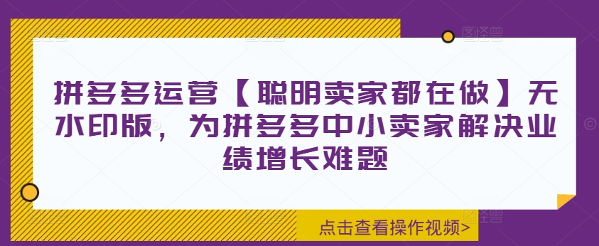 拼多多运营【聪明卖家都在做】无水印版，为拼多多中小卖家解决业绩增长难题-瀚海资源库