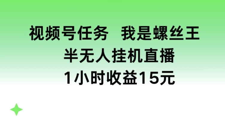 视频号任务，我是螺丝王， 半无人挂机1小时收益15元【揭秘】-瀚海资源库