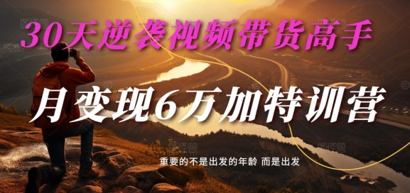 30天逆袭视频带货高手，单月变现6万加特训营-麦子甜-瀚海资源库