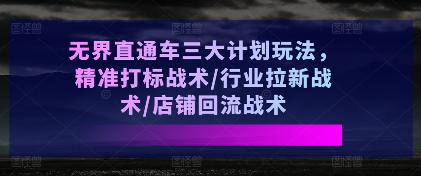 无界直通车三大计划玩法，精准打标战术/行业拉新战术/店铺回流战术-瀚海资源库