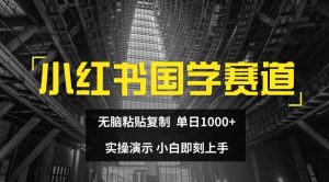 小红书国学赛道，无脑粘贴复制，单日1K，实操演示，小白即刻上手【揭秘】-瀚海资源库