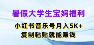 暑假大学生宝妈福利,小红书音乐号月入5000+,复制粘贴就能赚钱【揭秘】-瀚海资源库