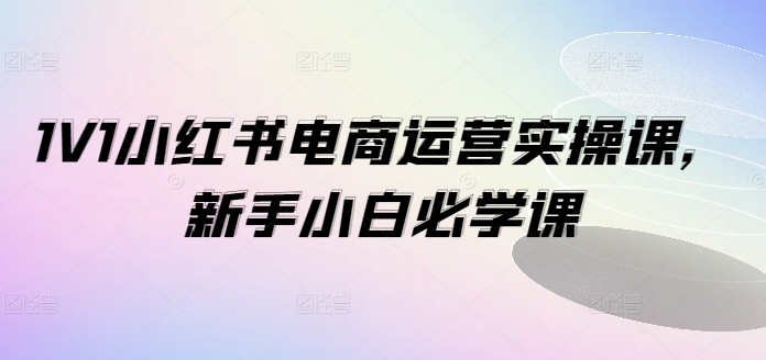 1V1小红书电商运营实操课，新手小白必学课-瀚海资源库