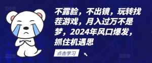 不露脸，不出镜，玩转找茬游戏，月入过万不是梦，2024年风口爆发，抓住机遇【揭秘】-瀚海资源库