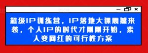 超级IP训练营,IP落地大课震撼来袭,个人IP的时代才刚刚开始,素人变网红的可行性方案-瀚海资源库