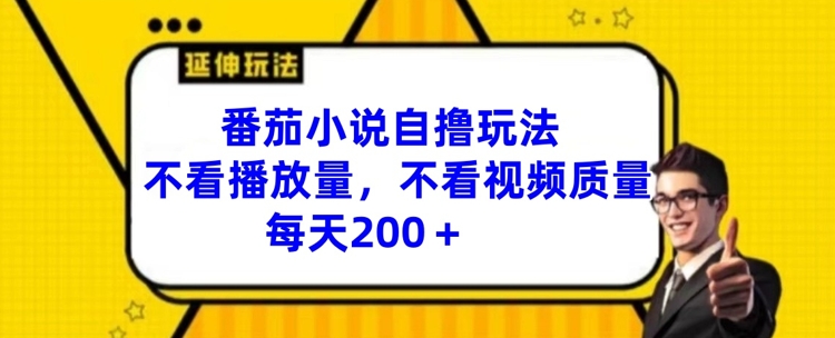 番茄小说自撸玩法，不看播放量，不看视频质量，每天200+【揭秘】-瀚海资源库