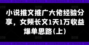 小说推文推广大佬经验分享，女频长文1天1万收益爆单思路(上)-瀚海资源库