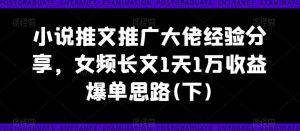 小说推文推广大佬经验分享,女频长文1天1万收益爆单思路(下)-瀚海资源库