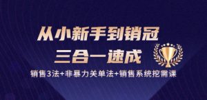 从小新手到销冠 三合一速成:销售3法+非暴力关单法+销售系统挖需课 (27节)-瀚海资源库