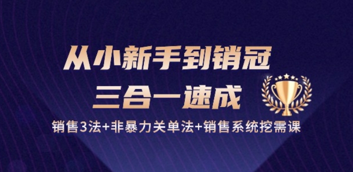 从小新手到销冠 三合一速成：销售3法+非暴力关单法+销售系统挖需课 (27节)-瀚海资源库