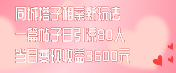 同城搭子相亲新玩法一篇帖子引流80人当日变现3600元(项目教程+实操教程)【揭秘】-瀚海资源库