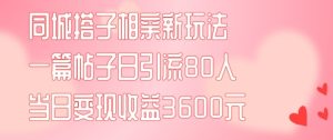 同城搭子相亲新玩法一篇帖子引流80人当日变现3600元(项目教程+实操教程)【揭秘】-瀚海资源库