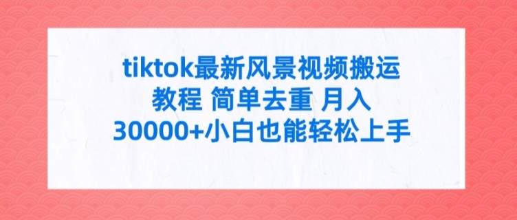 tiktok最新风景视频搬运教程 简单去重 月入3W+小白也能轻松上手【揭秘】-瀚海资源库